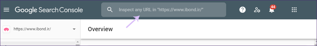 URL inspection